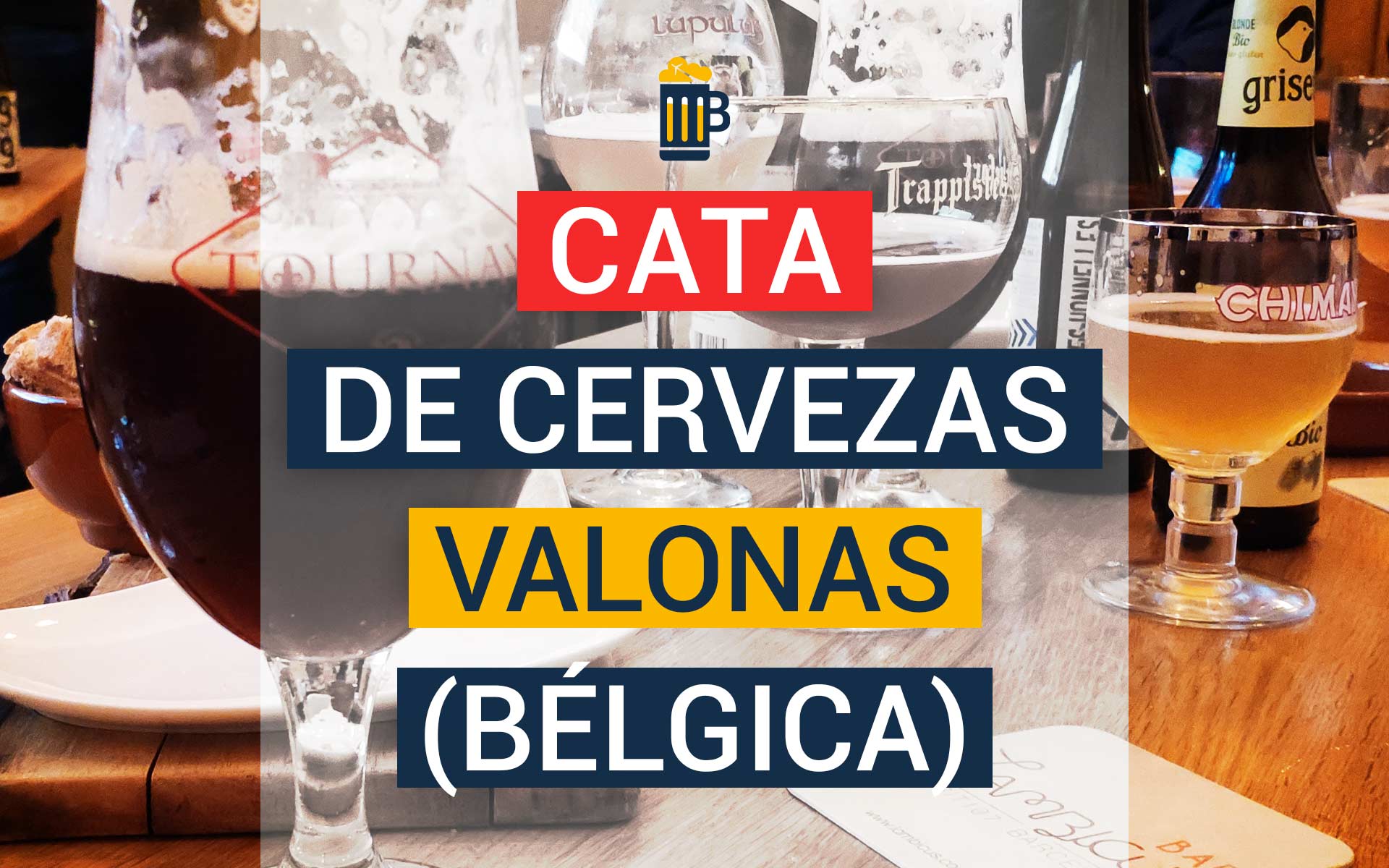 Catando cervezas artesanas de Valonia