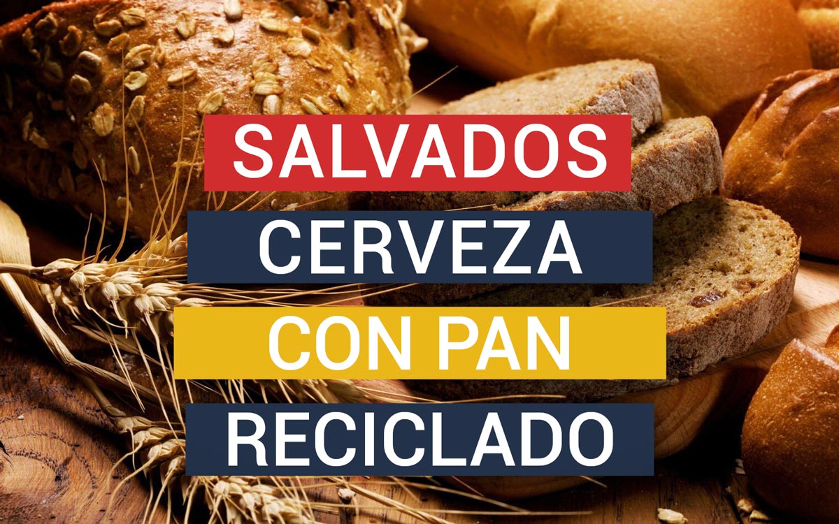 Salvados Beer - Cerveza artesanal con pan reciclado
