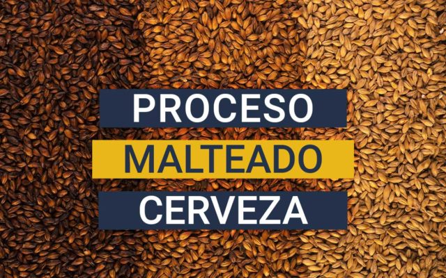 Malteado de cerveza, secreto de la malta