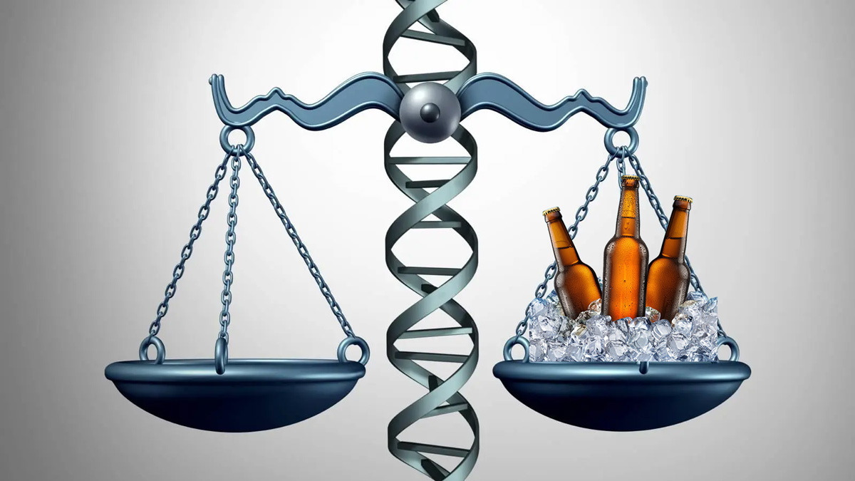 La importancia de la legislación y los impuestos en la cerveza artesana