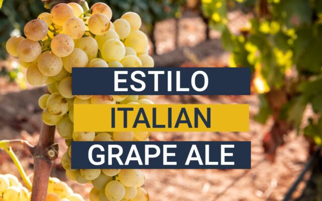 Estilo Italian Grape Ale