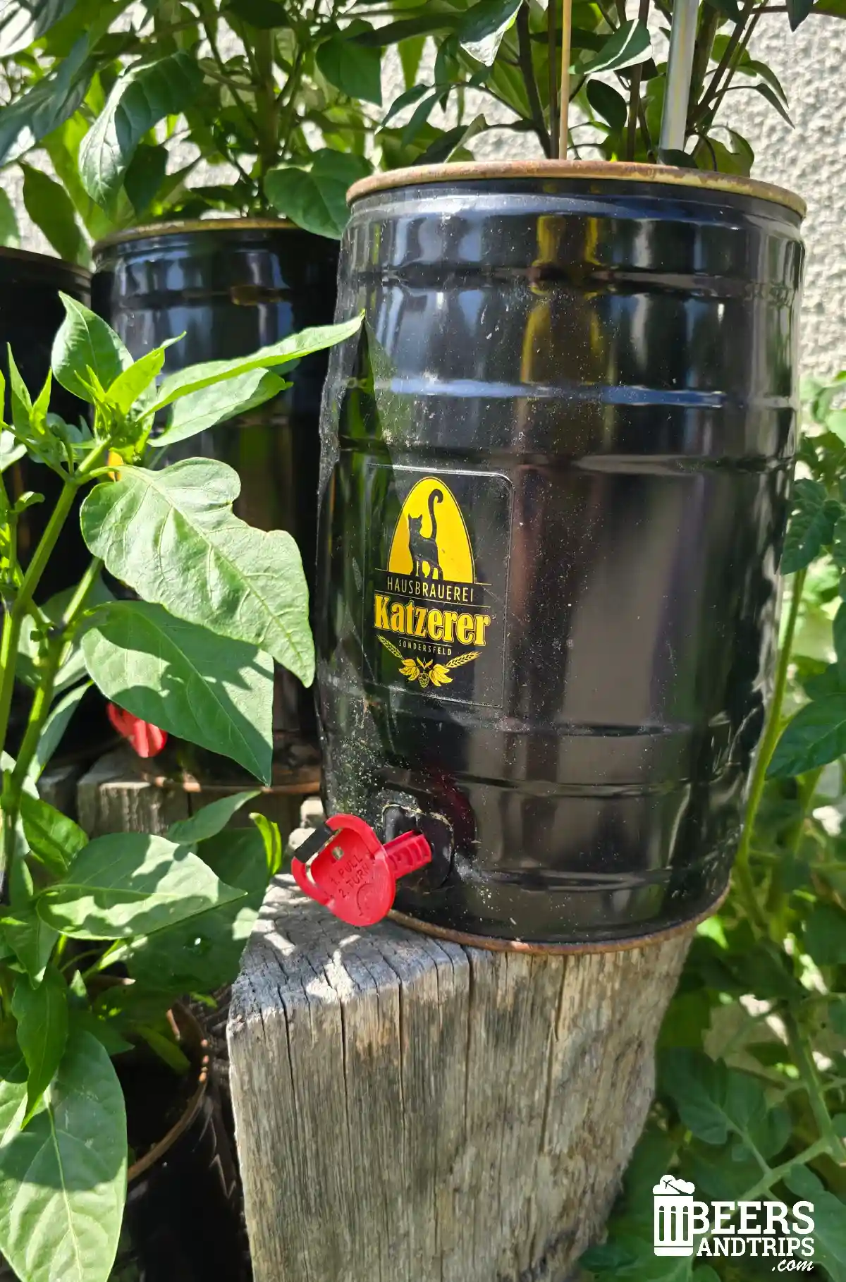 Hausbrauerei Katzerer en Sondersfeld