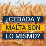 Diferentes entre la malta y la cebada