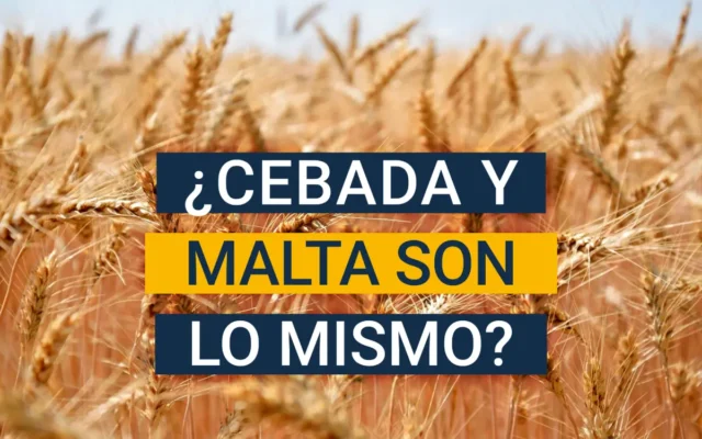 Diferencias entre cebada y malta